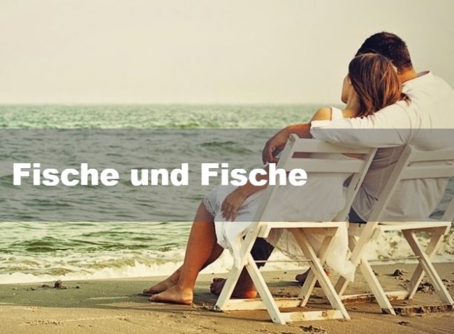 Fische und Fische – Partnerschaft und Liebe