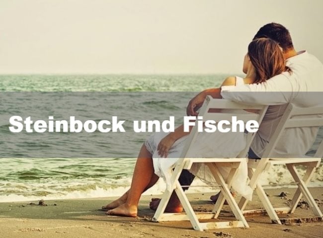 Steinbock und Fische