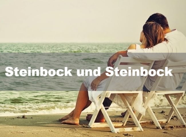 Steinbock und Steinbock