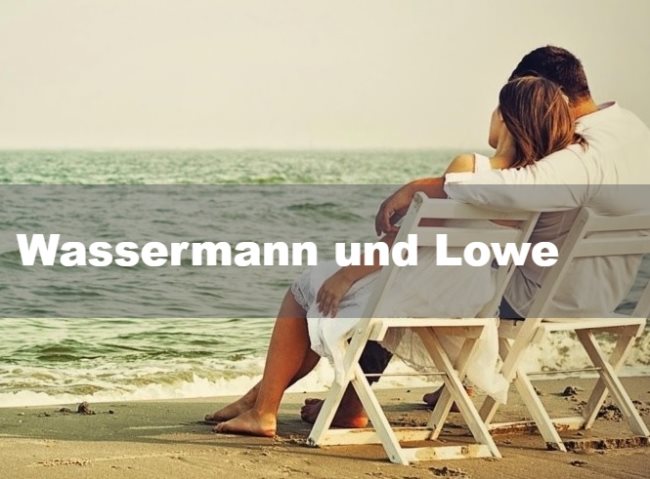 Wassermann und Löwe: Partnerschaft, Freundschaft und Liebe