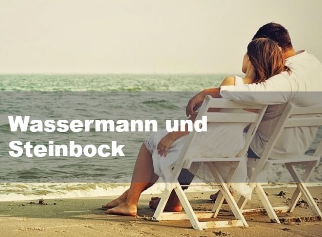 Wassermann und Steinbock