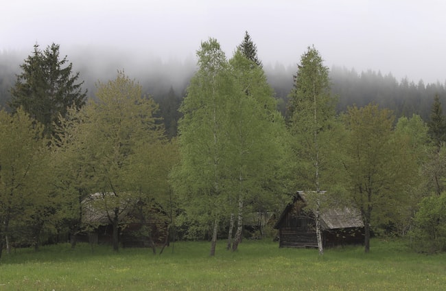 Was bedeutet es, von einem Holzhaus oder einer Holzhütte zu träumen?