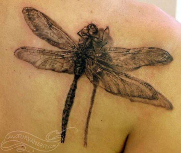 tattoo libelle1092