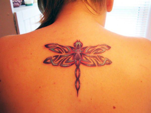 tattoo libelle1144