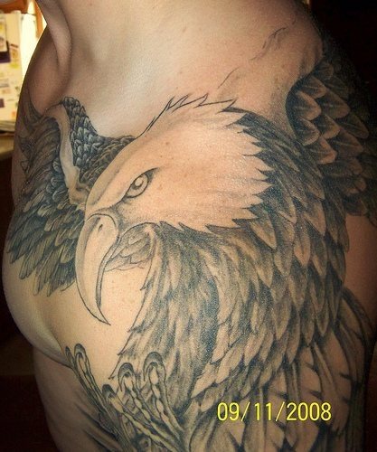 adler tattoo 501