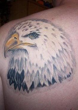 adler tattoo 509