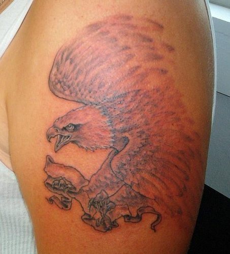 adler tattoo 511