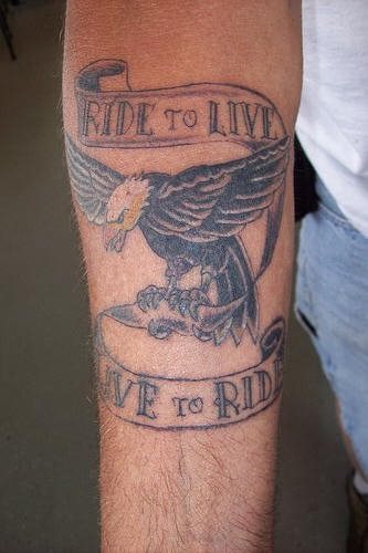 adler tattoo 512