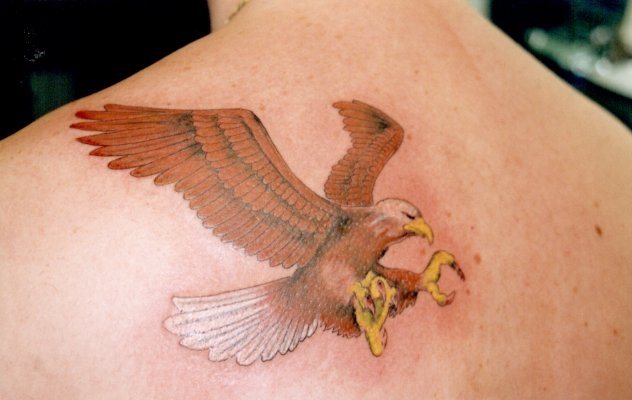 adler tattoo 515