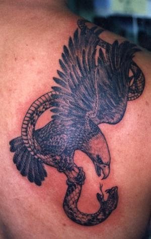 adler tattoo 517