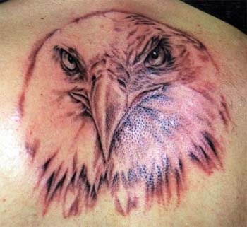 adler tattoo 518