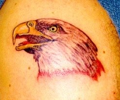 adler tattoo 524