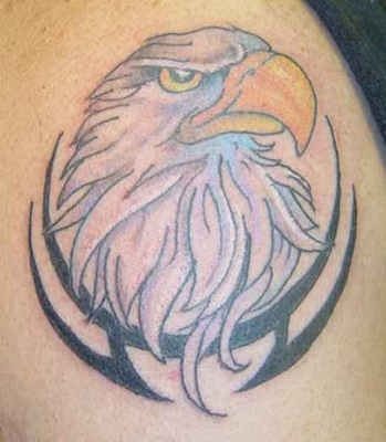 adler tattoo 528