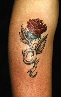 blume tattoo 1003