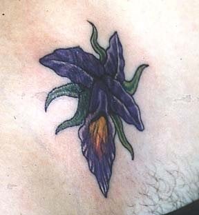 blume tattoo 1010