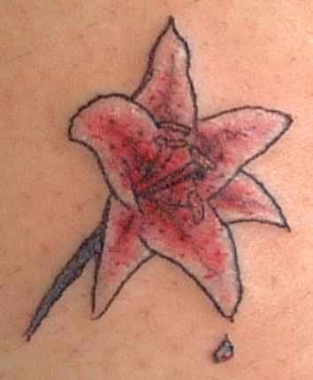 blume tattoo 1029