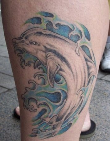 delphin tattoo 510