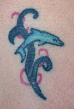 delphin tattoo 525