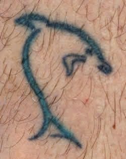 delphin tattoo 530