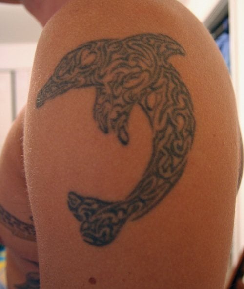 delphin tattoo 545