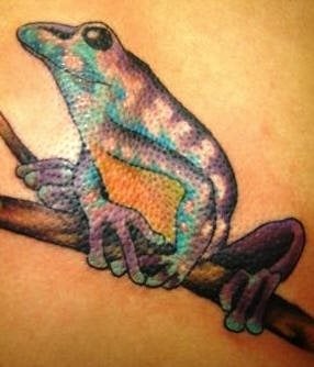 frosch tattoo 1034