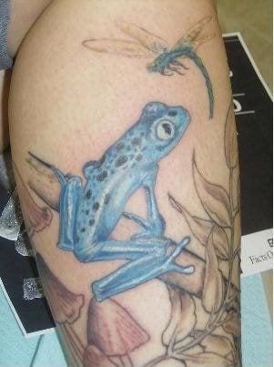 frosch tattoo 1036