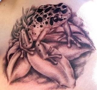 frosch tattoo 1058