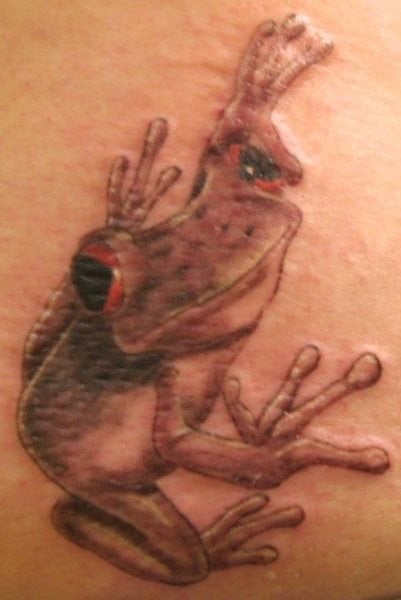 frosch tattoo 1076