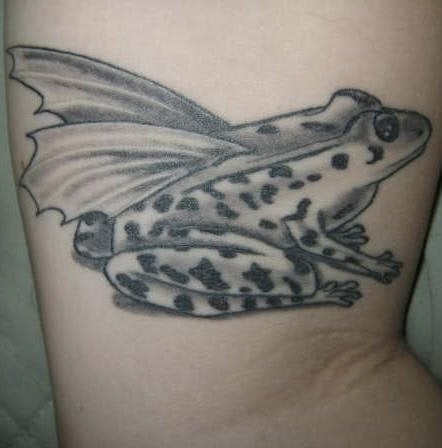 frosch tattoo 1028