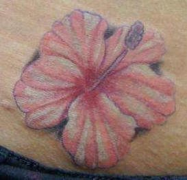 hibiskus blume tattoo 1022