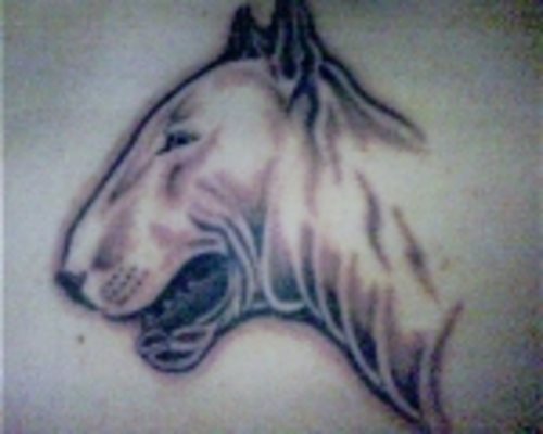 203 hund tattoo