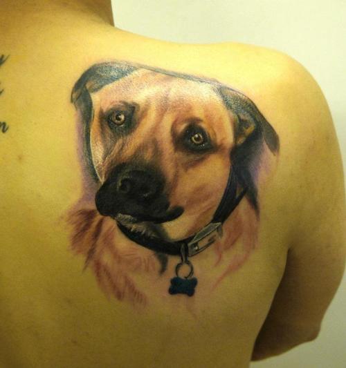216 hund tattoo
