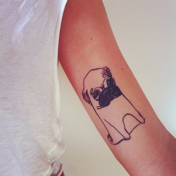 231 hund tattoo