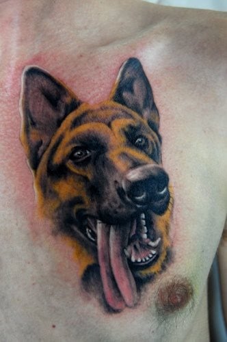 236 hund tattoo