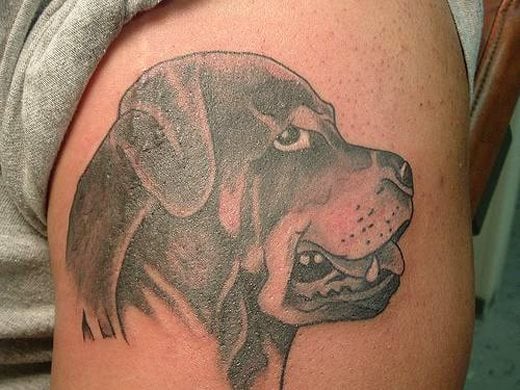 249 hund tattoo