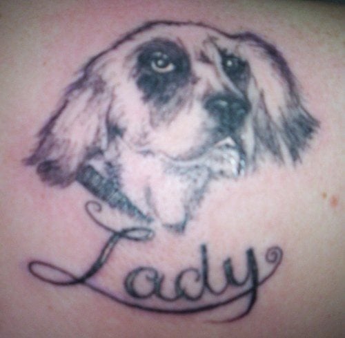 254 hund tattoo