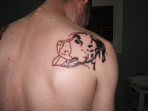 263 hund tattoo