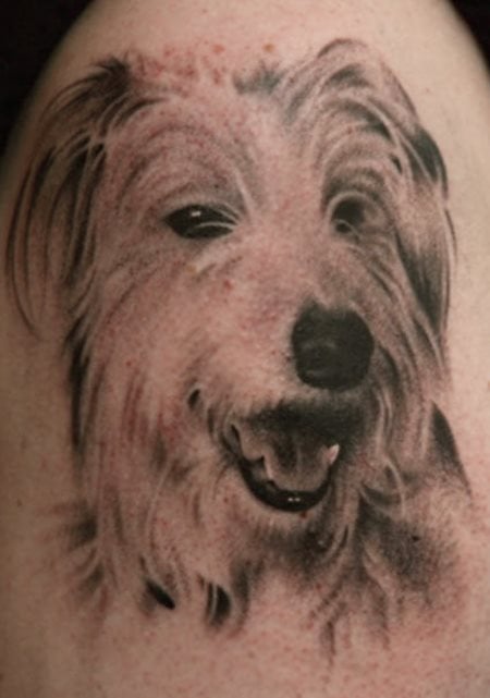 hund tattoo 51