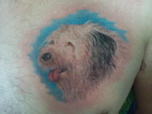 hund tattoo 53