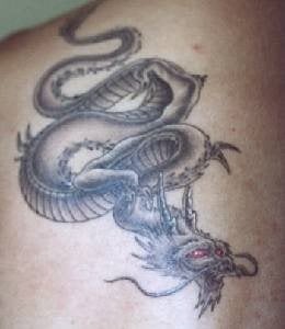 japanischer drache tattoo 520