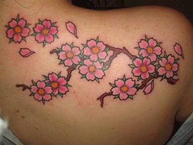 kirsche tattoo 555