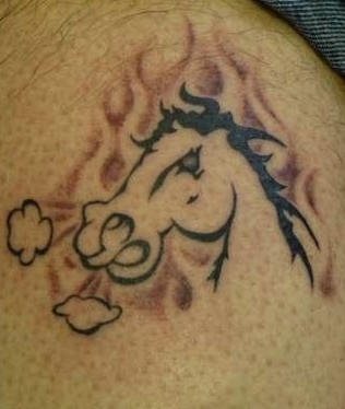 pferd tattoo 502