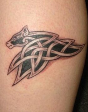 pferd tattoo 515