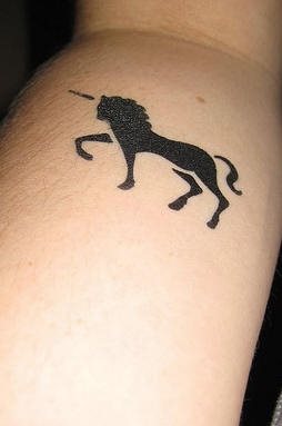 pferd tattoo 533