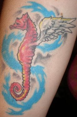 pferd tattoo 544