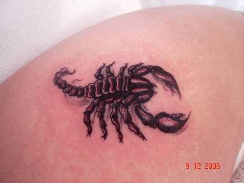 reptil tattoo 1039