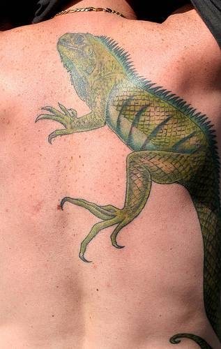 reptil tattoo 1048