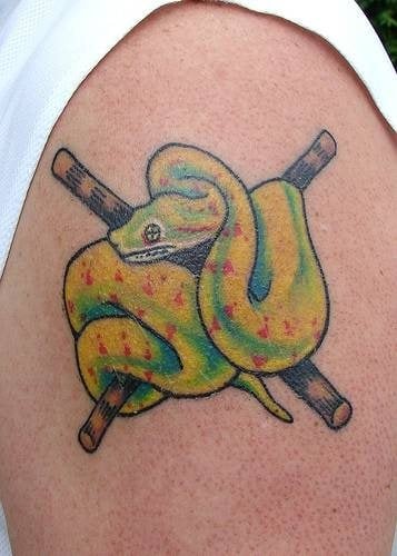 reptil tattoo 1060