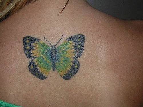 schmetterling tattoo 1072