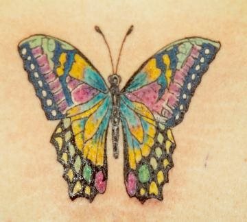 schmetterling tattoo 1010